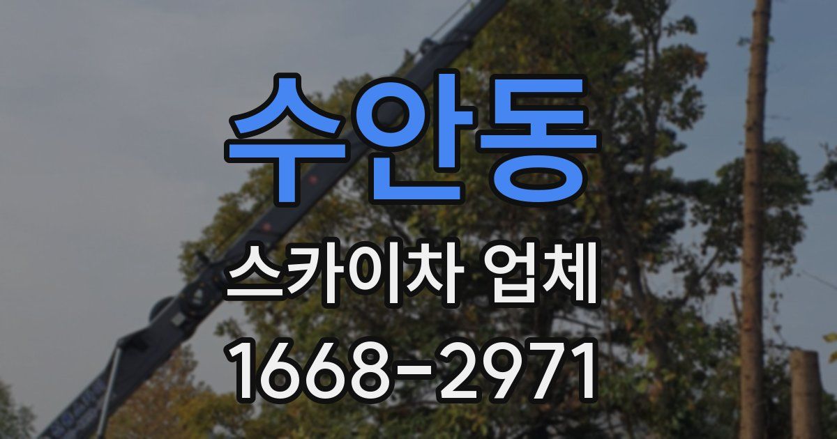 수안동 스카이차 업체