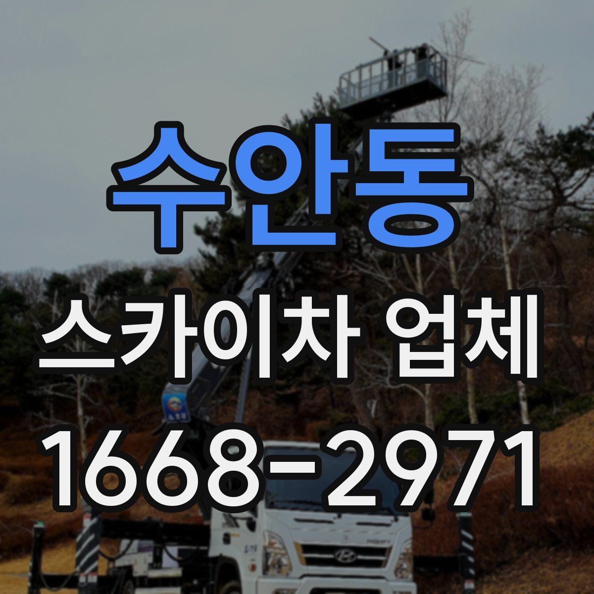수안동 스카이차 업체