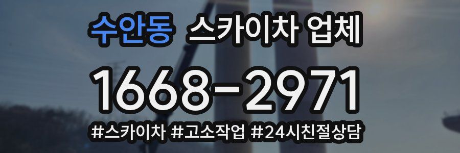 수안동 스카이차 업체