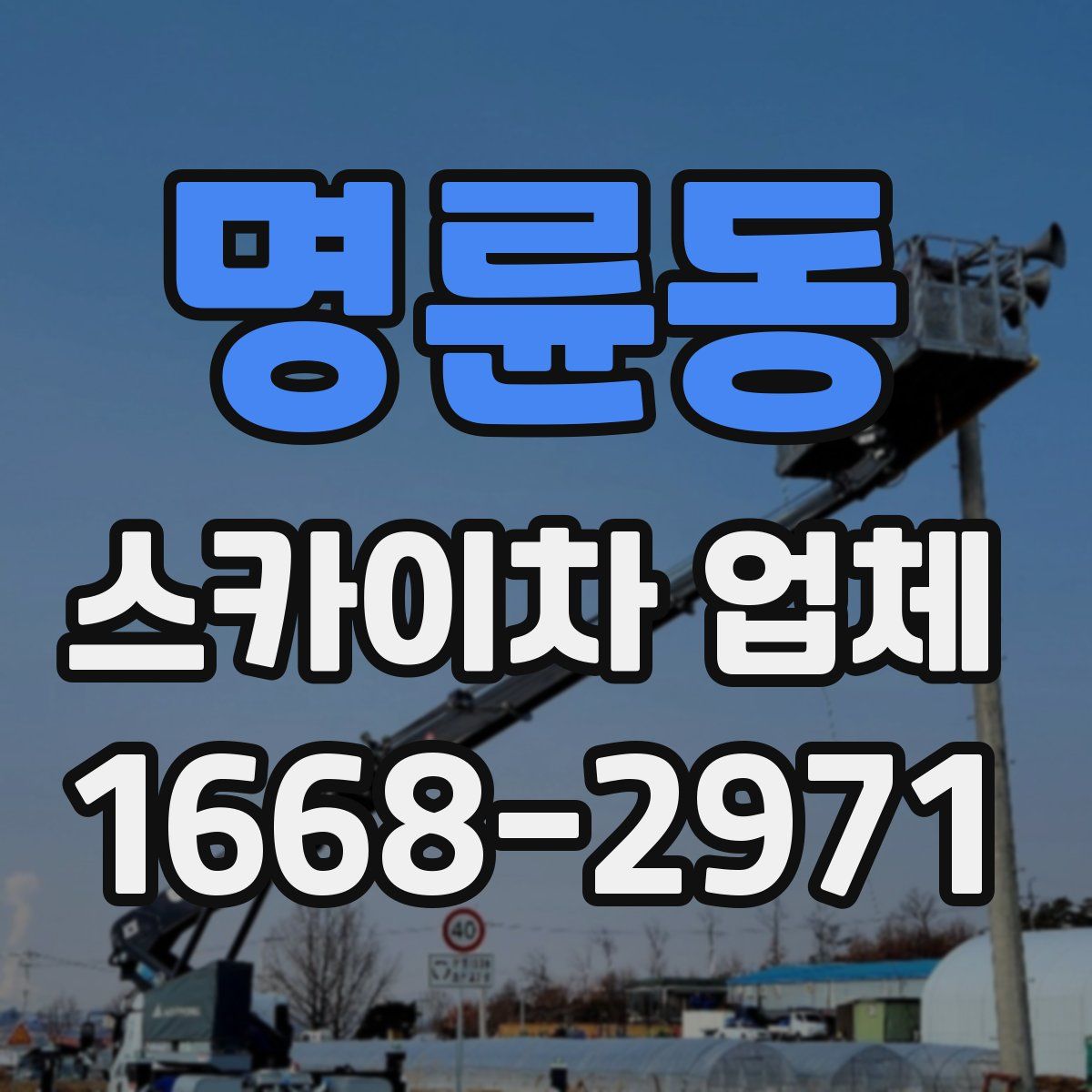 명륜동 스카이차 업체