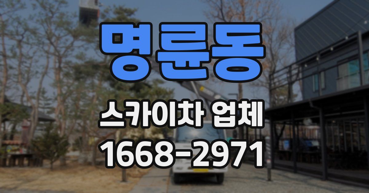 명륜동 스카이차 업체