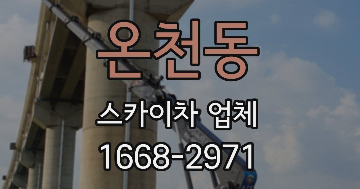 온천동 스카이차 업체
