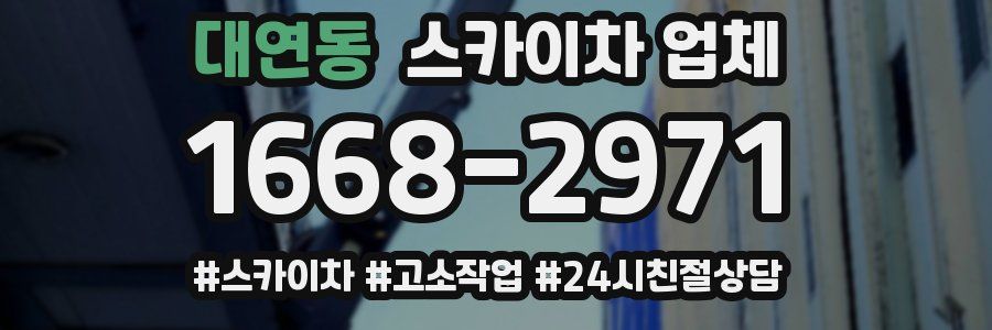 대연동 스카이차 업체
