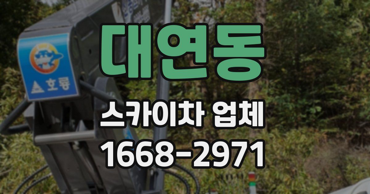 대연동 스카이차 업체