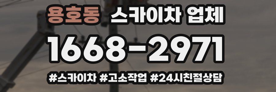 용호동 스카이차 업체