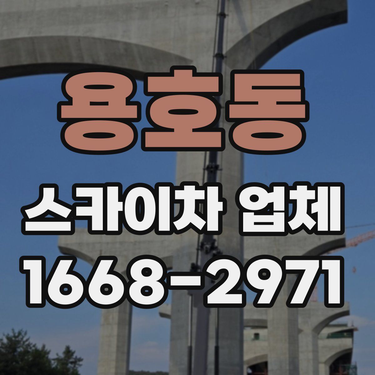 용호동 스카이차 업체