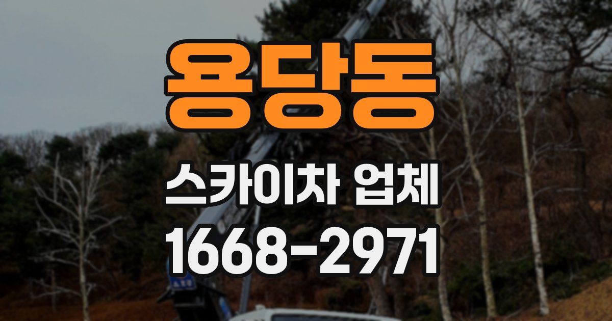 용당동 스카이차 업체