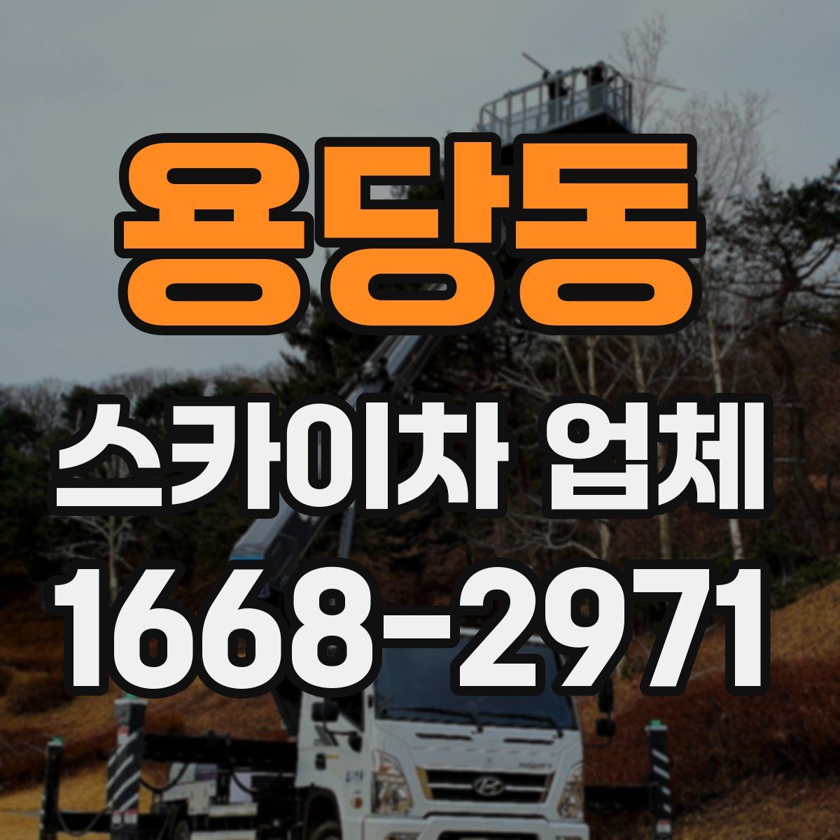 용당동 스카이차 업체