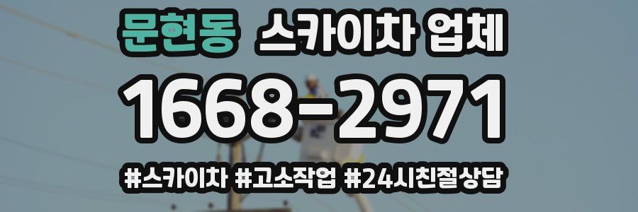문현동 스카이차 업체