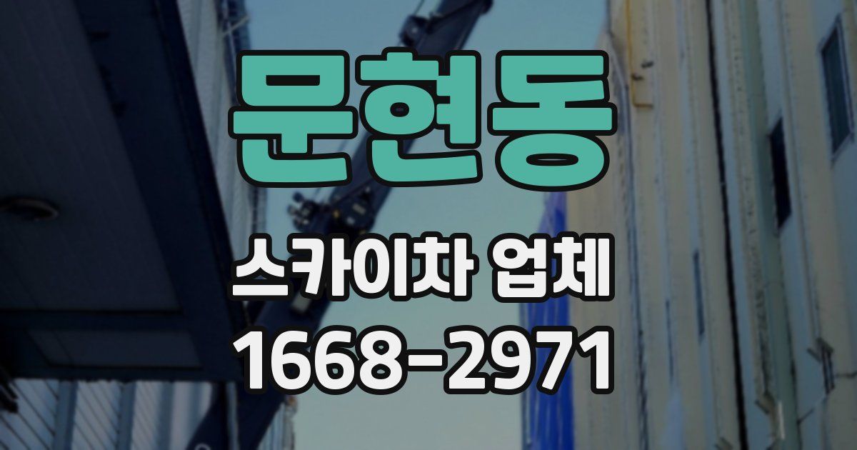 문현동 스카이차 업체