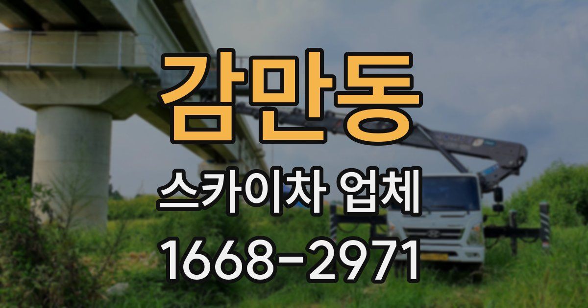 감만동 스카이차 업체