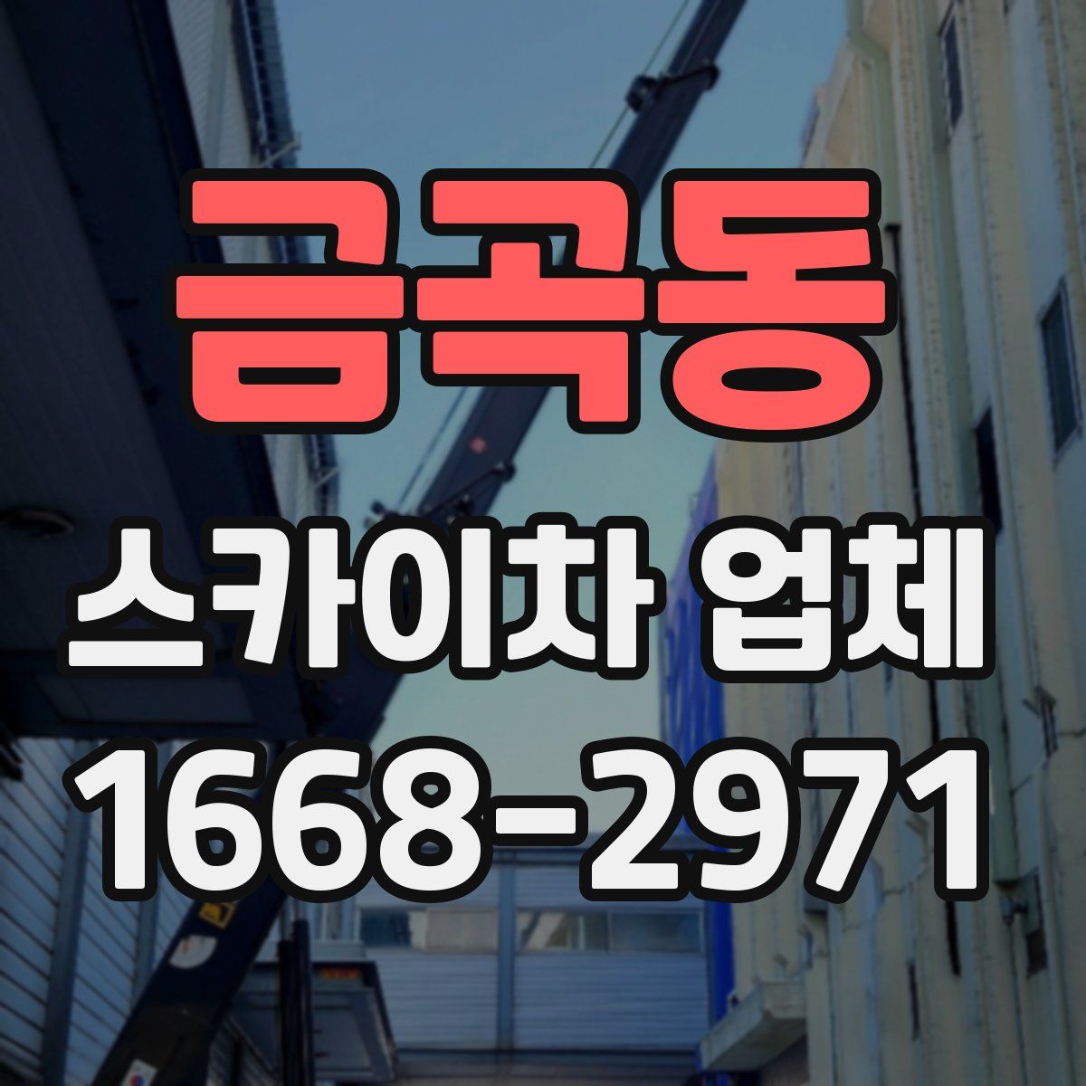 금곡동 스카이차 업체