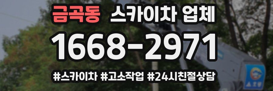 금곡동 스카이차 업체