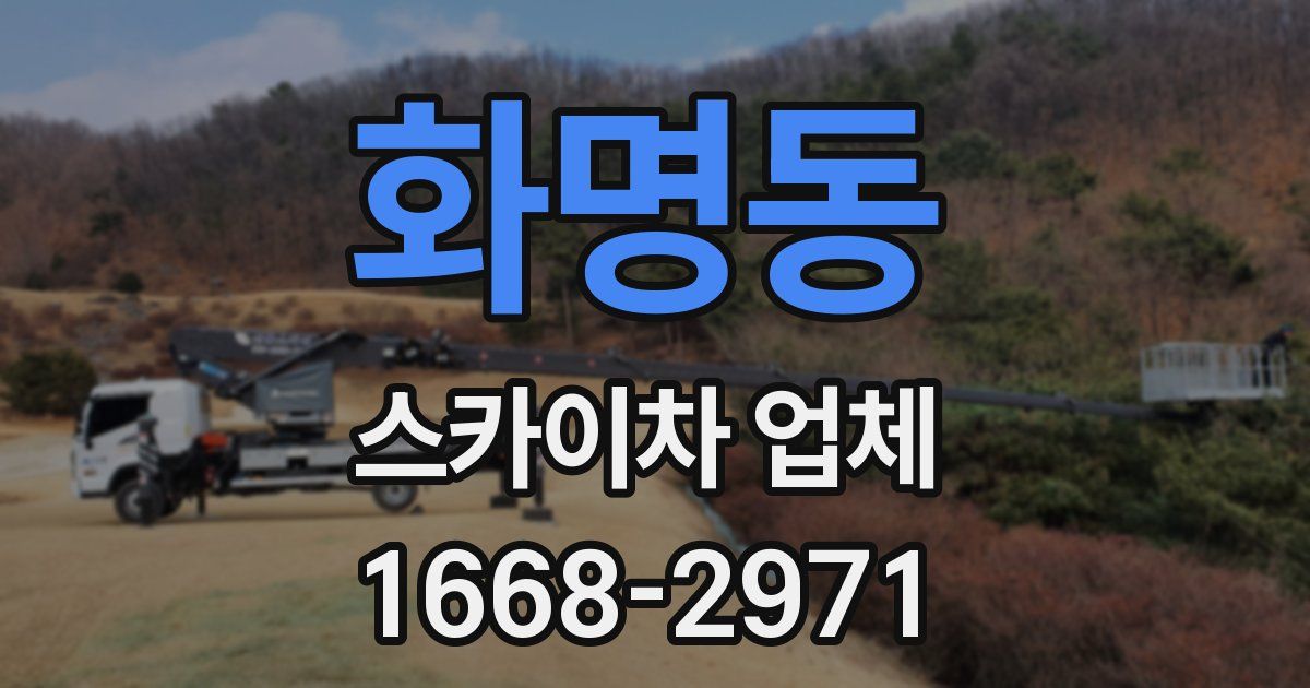 화명동 스카이차 업체
