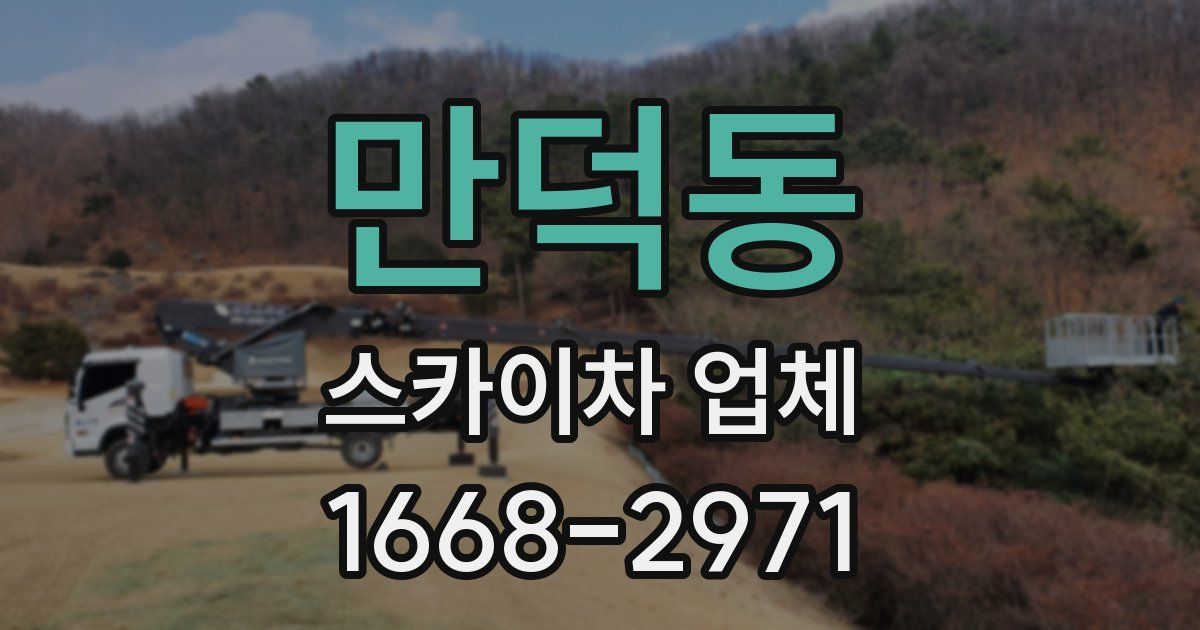 만덕동 스카이차 업체