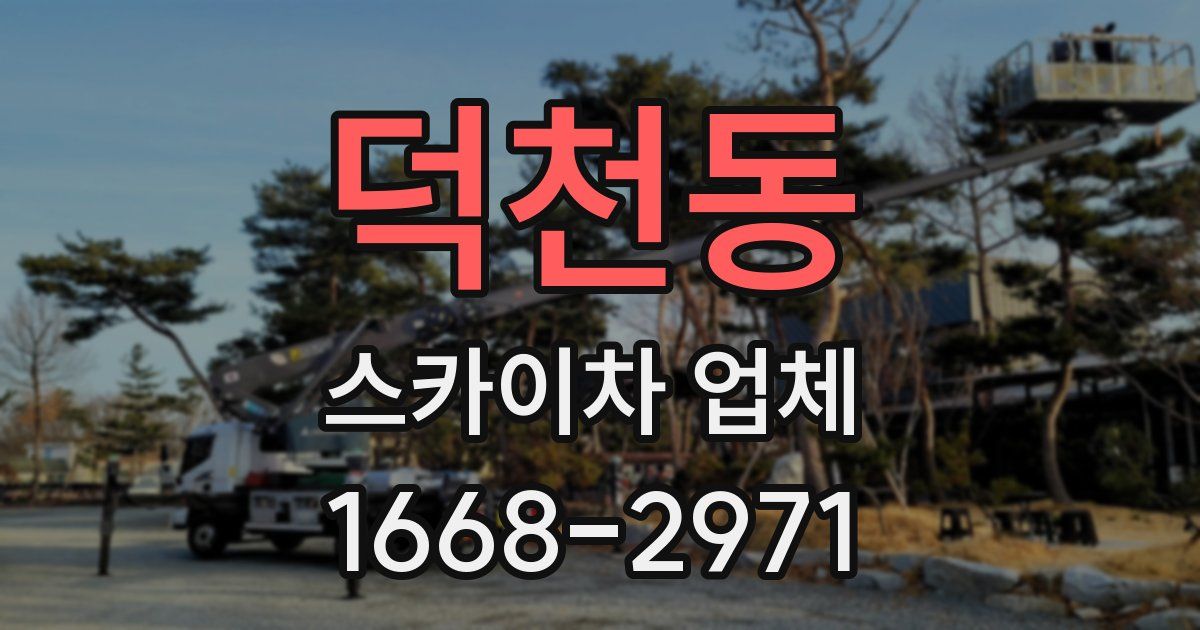 덕천동 스카이차 업체