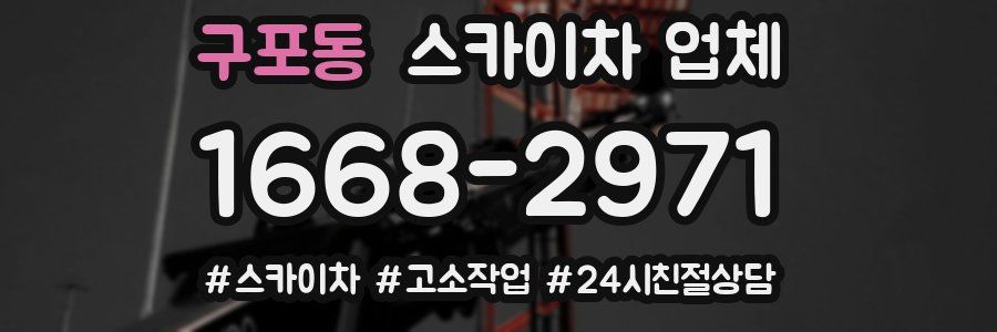 구포동 스카이차 업체