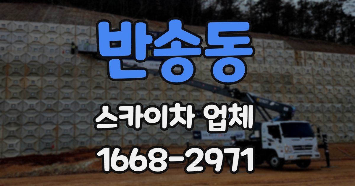 반송동 스카이차 업체