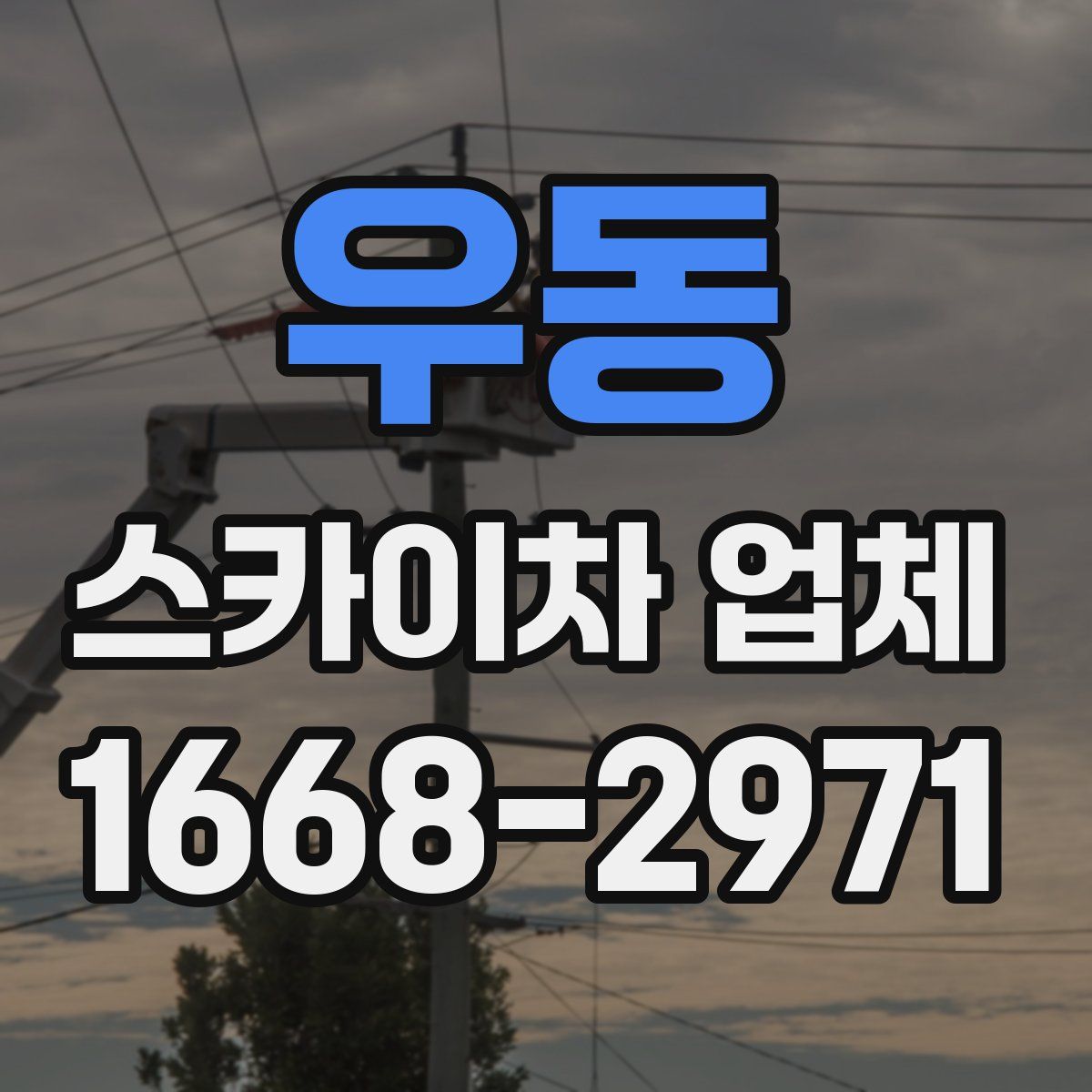 우동 스카이차 업체