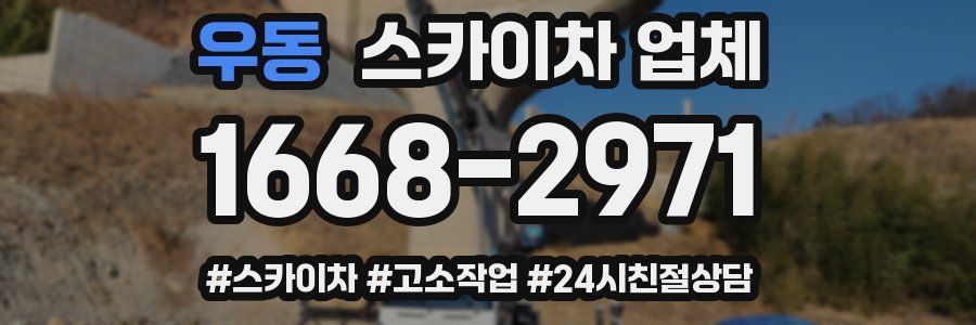 우동 스카이차 업체