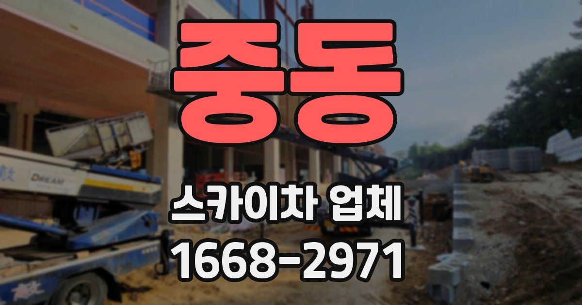 중동 스카이차 업체