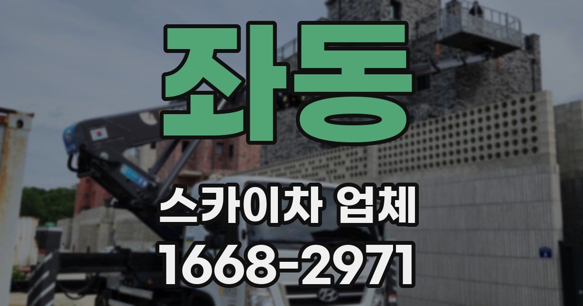 좌동 스카이차 업체