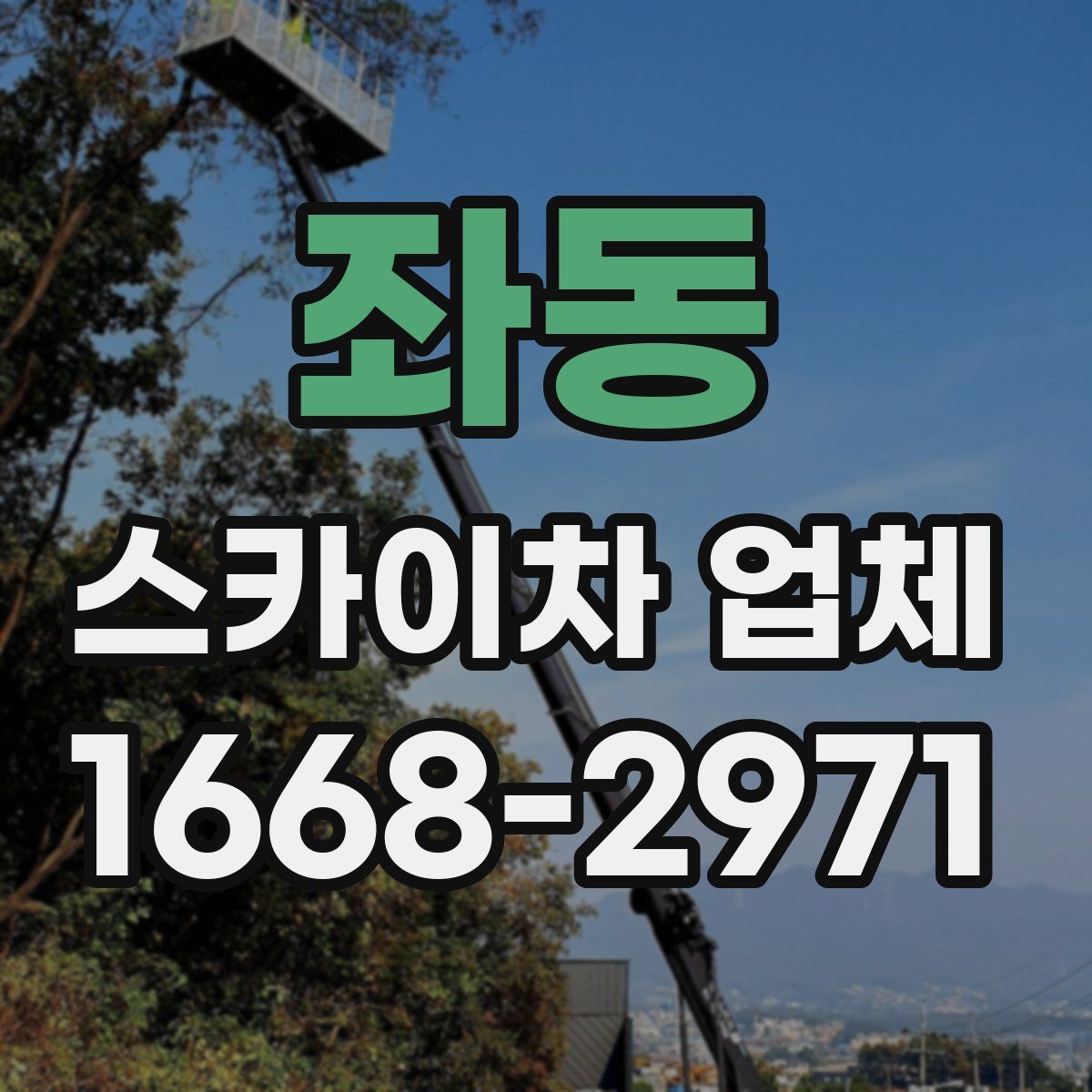 좌동 스카이차 업체