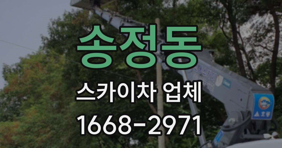 송정동 스카이차 업체