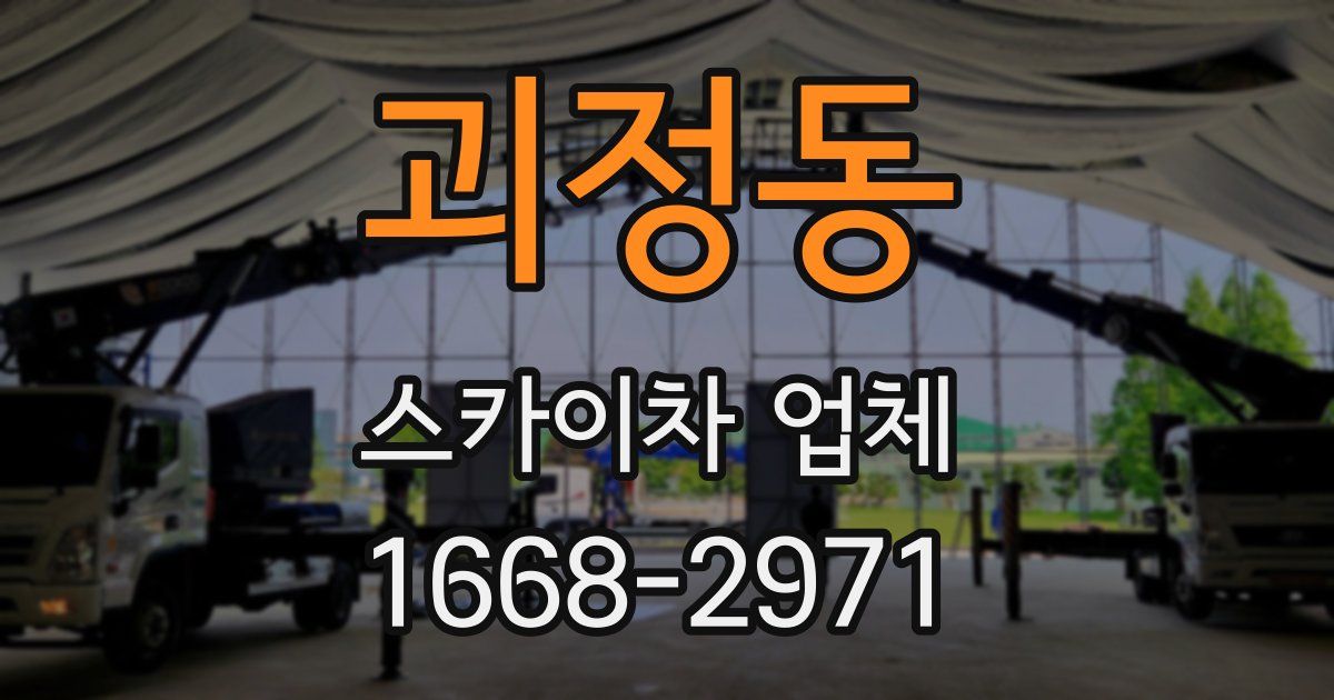 괴정동 스카이차 업체