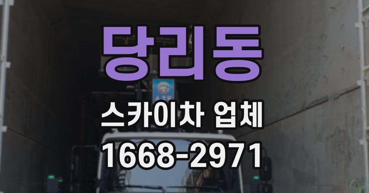 당리동 스카이차 업체