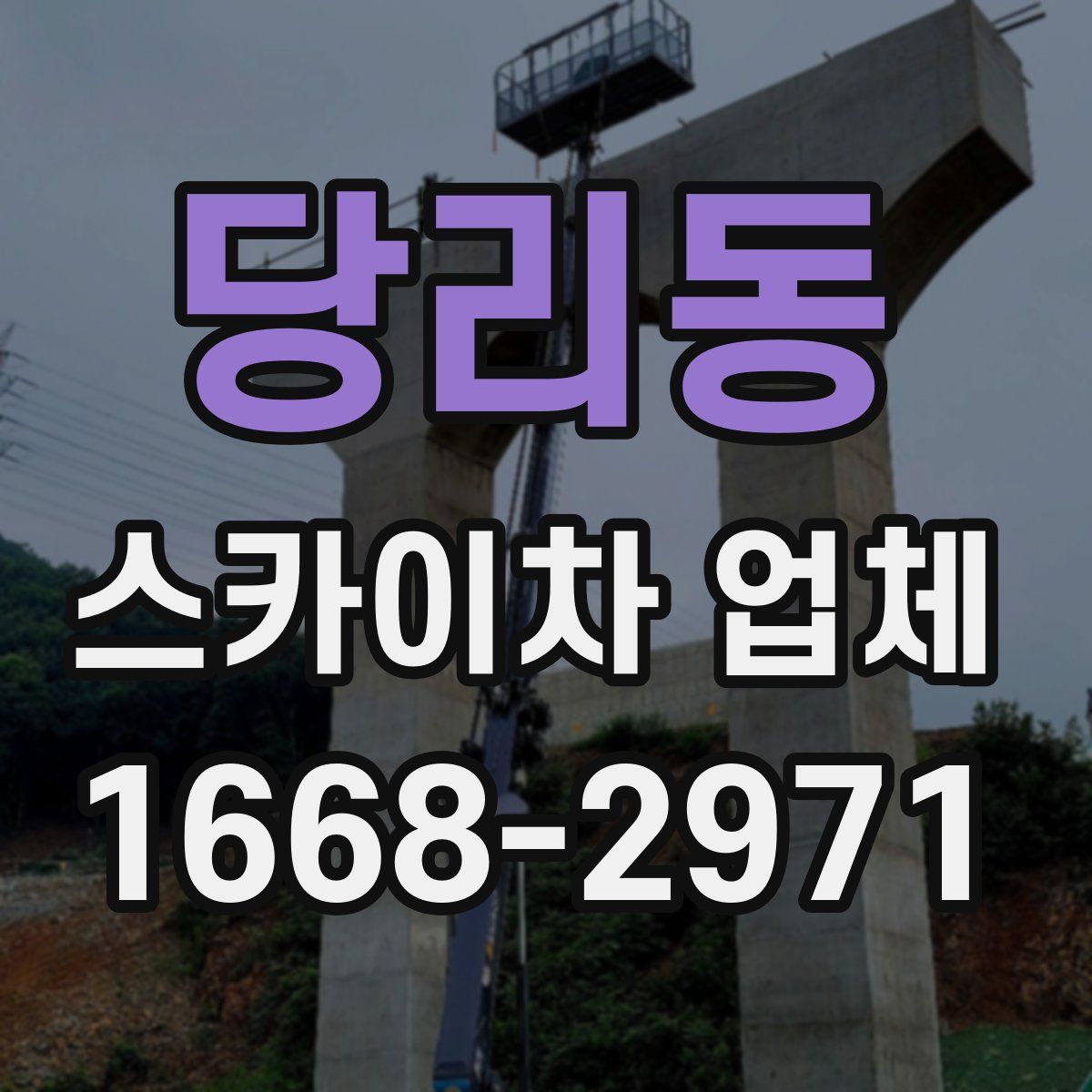 당리동 스카이차 업체