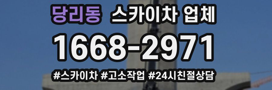 당리동 스카이차 업체