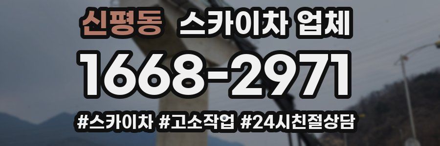 신평동 스카이차 업체