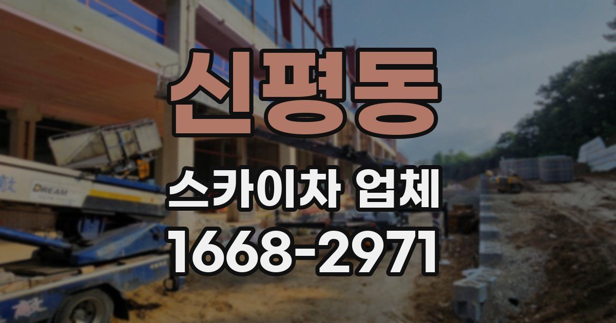 신평동 스카이차 업체