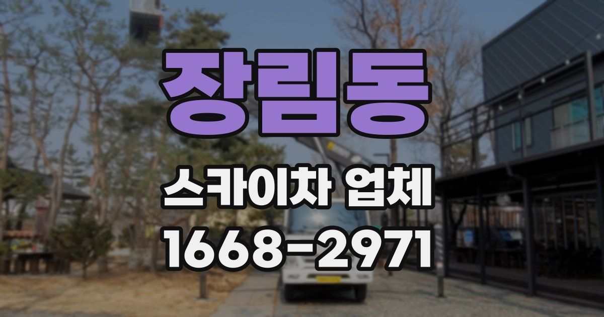 장림동 스카이차 업체