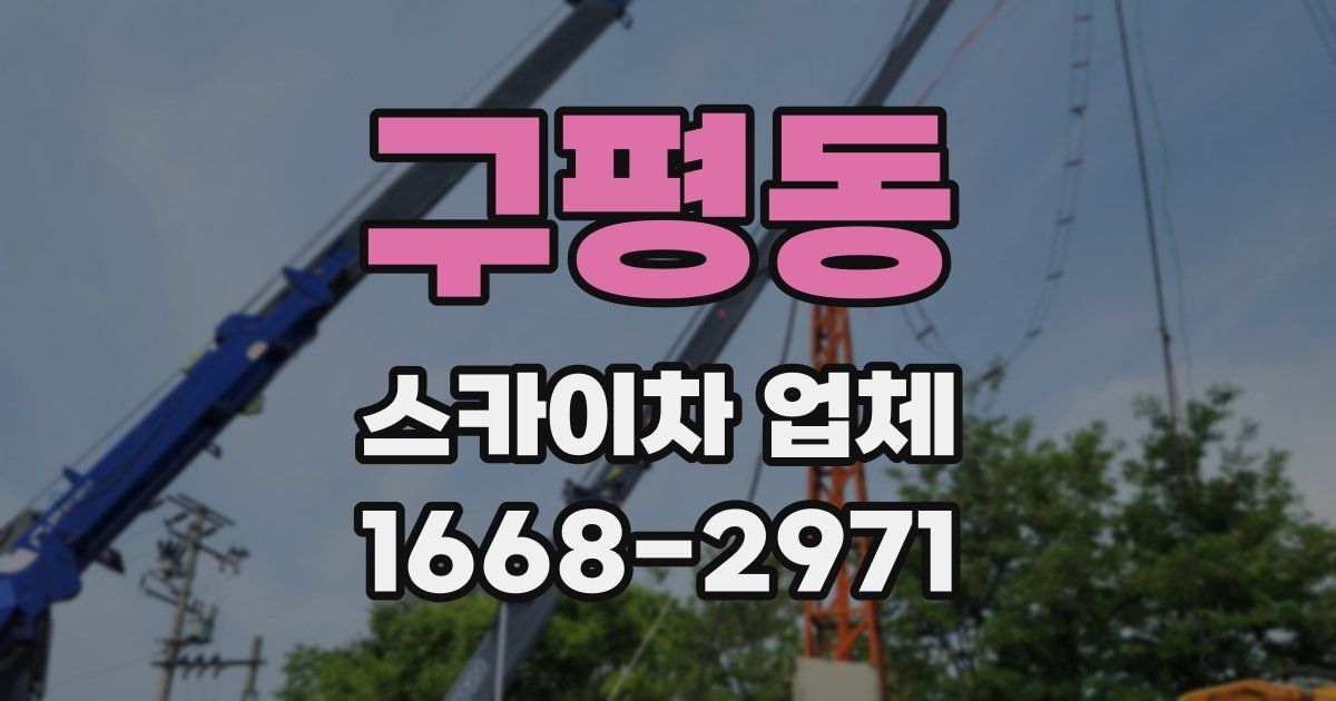 구평동 스카이차 업체