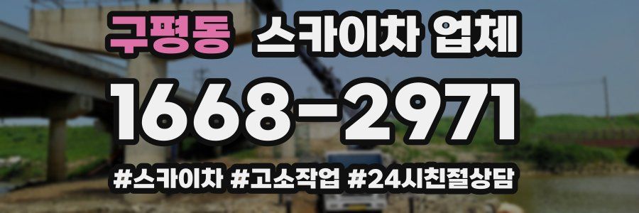 구평동 스카이차 업체