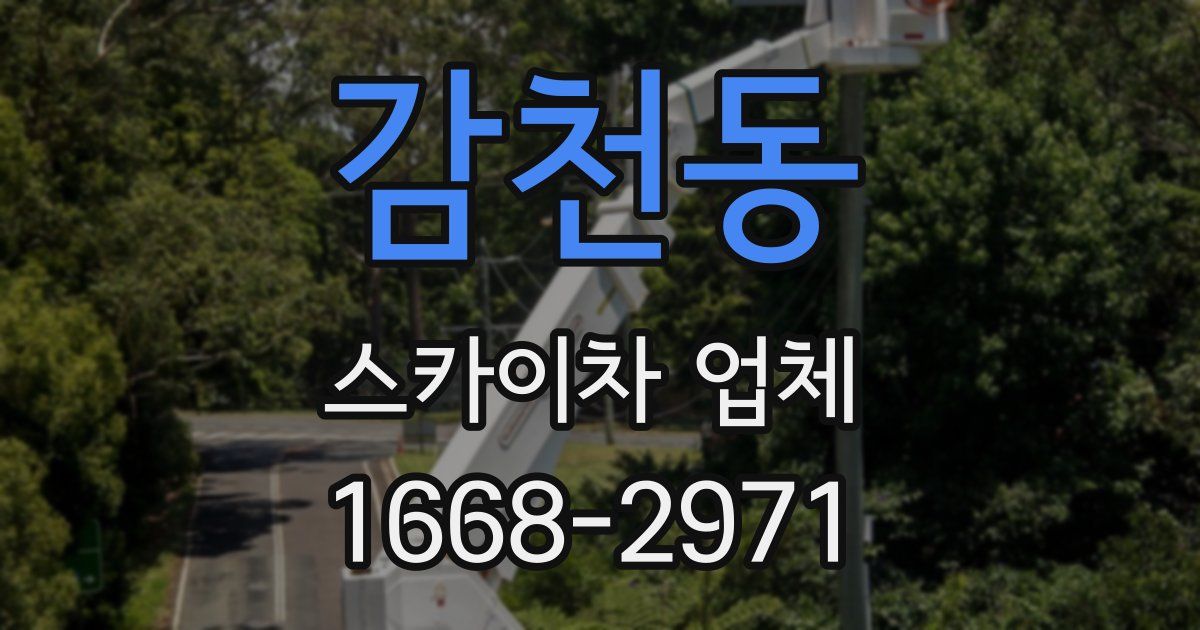 감천동 스카이차 업체