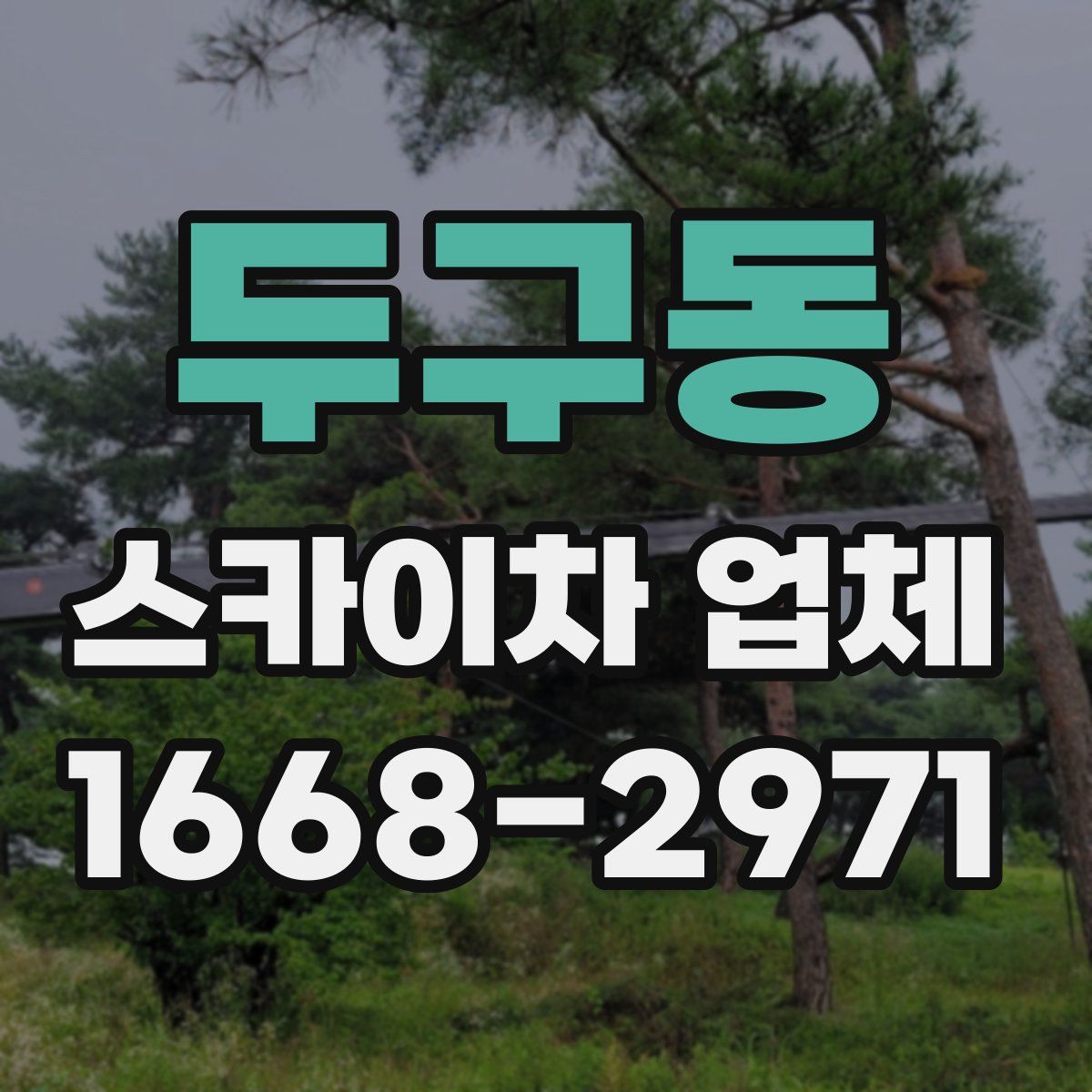 두구동 스카이차 업체