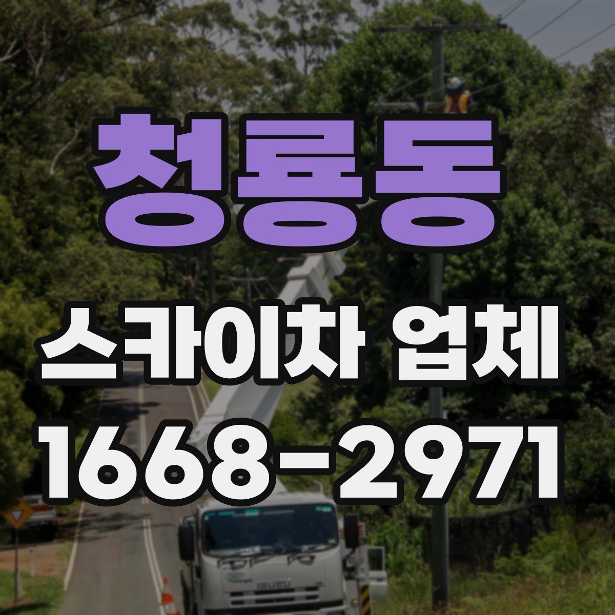 청룡동 스카이차 업체