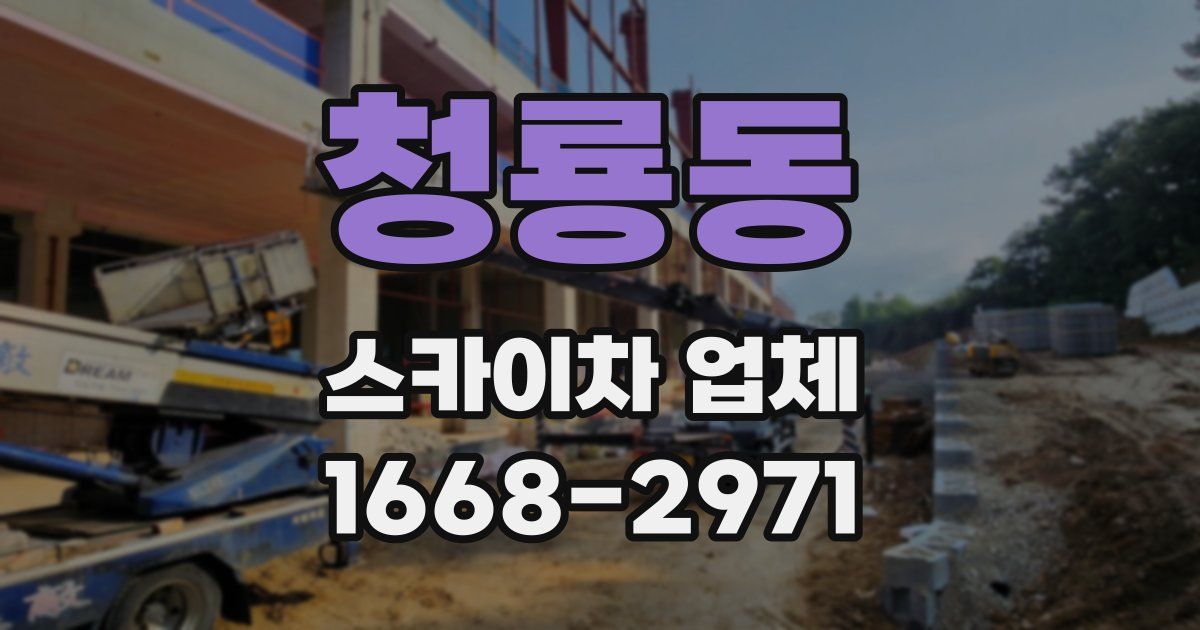 청룡동 스카이차 업체