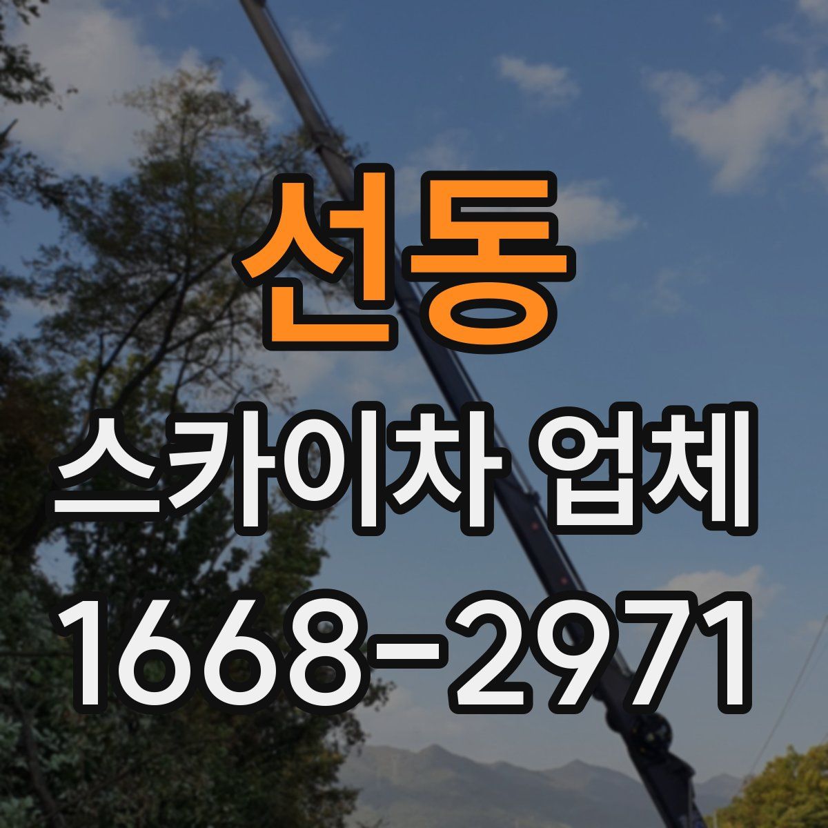 선동 스카이차 업체