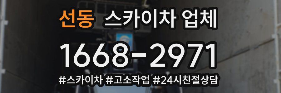 선동 스카이차 업체