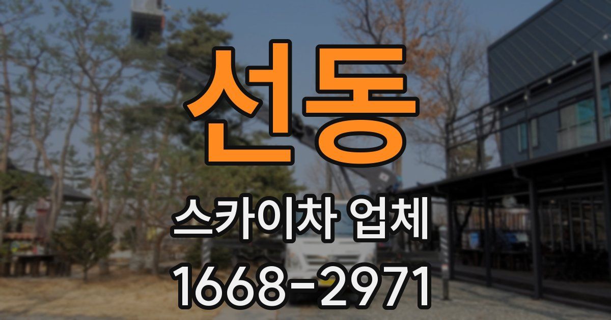 선동 스카이차 업체