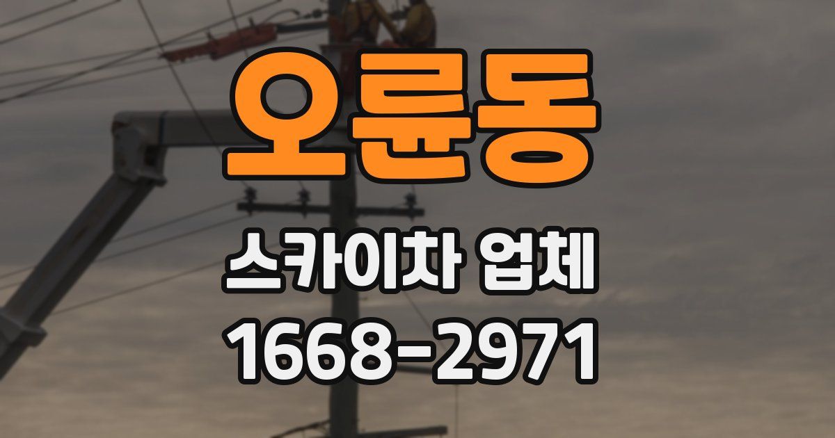 오륜동 스카이차 업체