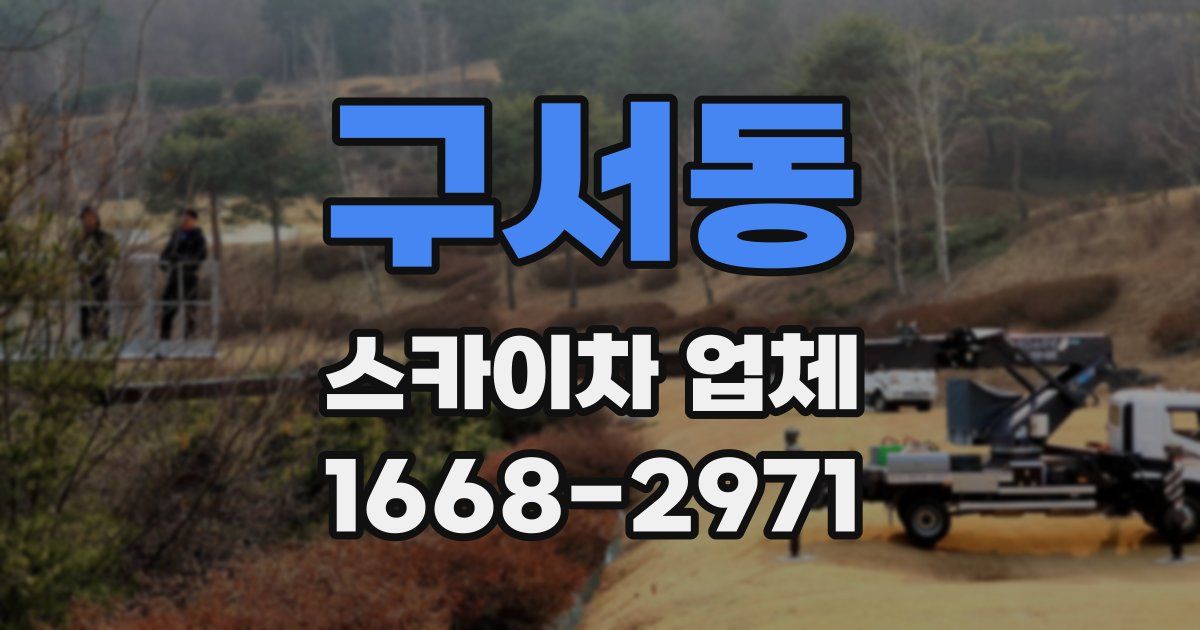 구서동 스카이차 업체