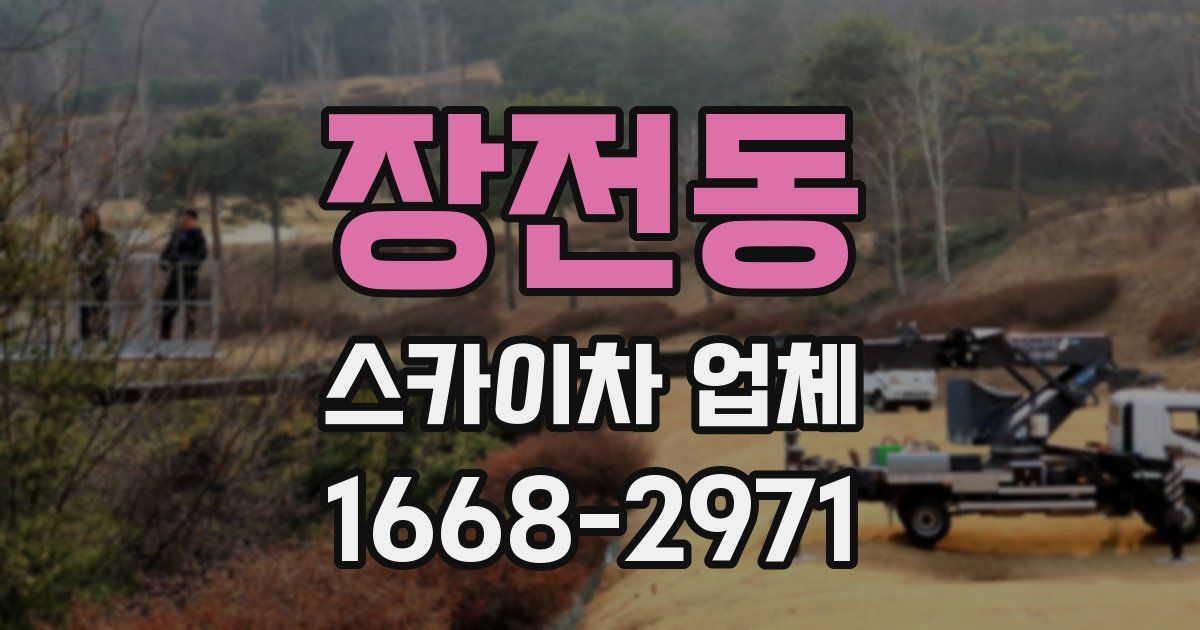 장전동 스카이차 업체