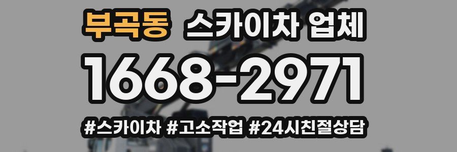 부곡동 스카이차 업체