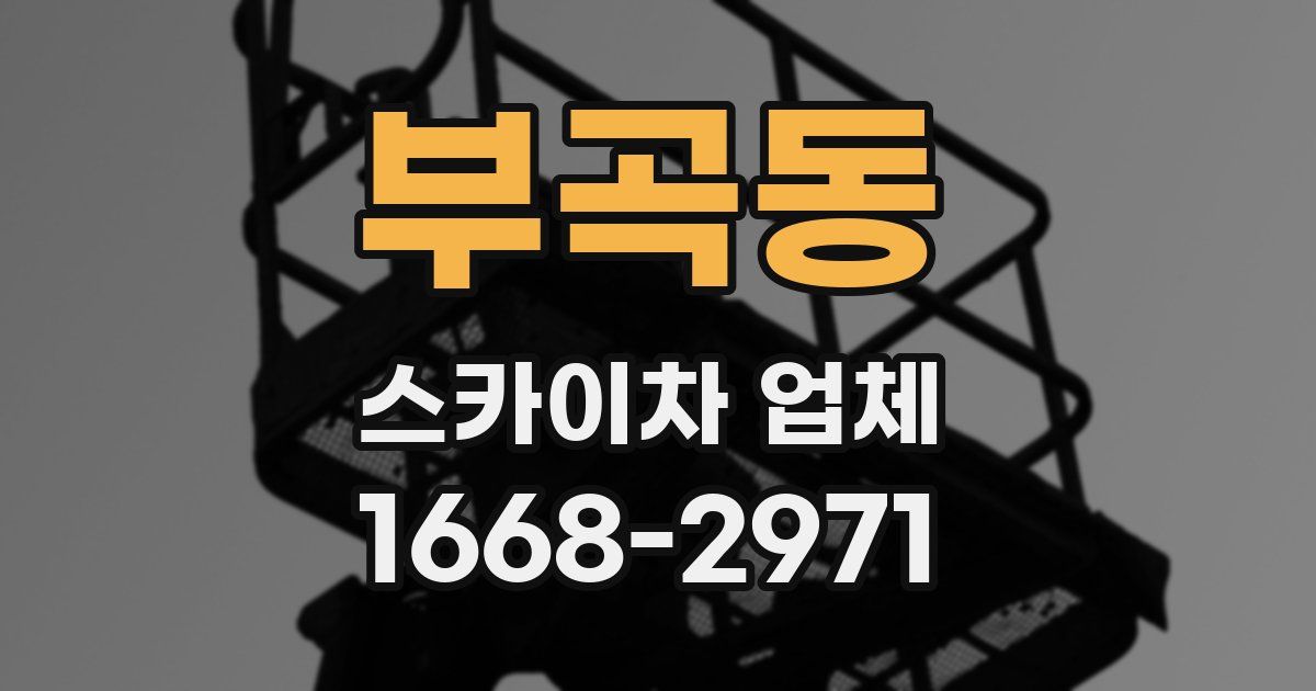 부곡동 스카이차 업체