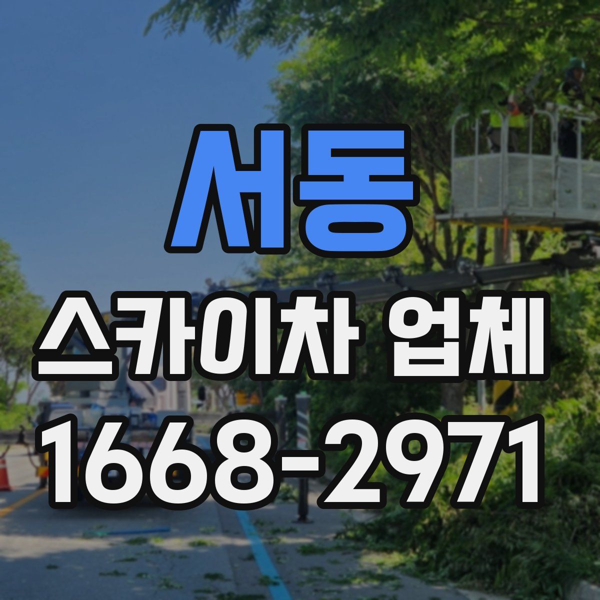 서동 스카이차 업체